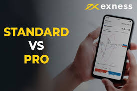 Exploring Exness Trading Instruments for Maximum Profitability