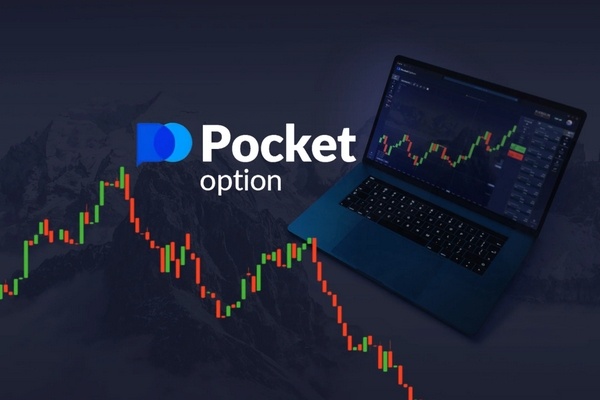 All You Need to Know About Pocket Option