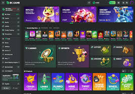 Explore the Thrills of Online Bets BC Game