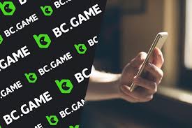 Exploring the BC.Game Mobile App Your Gateway to Gaming on the Go